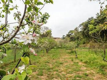 Bed & Breakfast Paratgea 3*